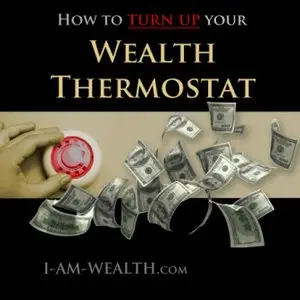 Wealth Thermostat