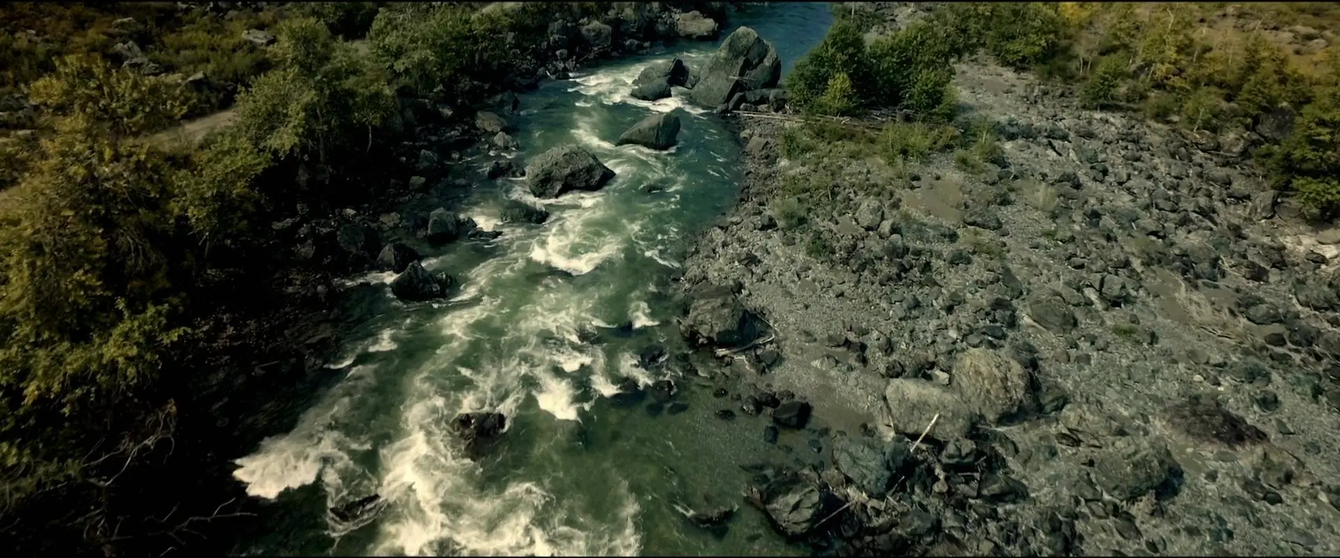 The Body Tree (2017)