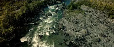 The Body Tree (2017)