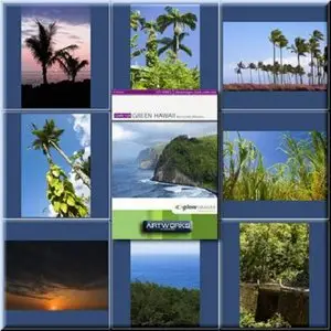 GlowImages GWN109 - Green Hawaii