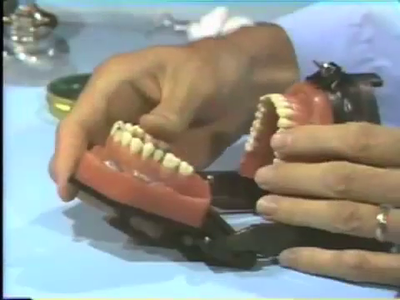 University of Michigan: School of Dentistry - Dental Anatomy