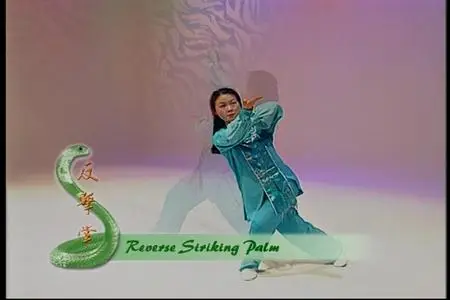TC Media - Snake Fist Emei Style (2001)