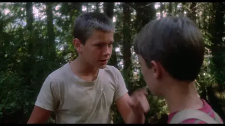 Stand by Me (1986)