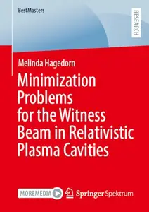 Minimization Problems for the Witness Beam in Relativistic Plasma Cavities