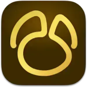 Navicat Premium 17.2.8