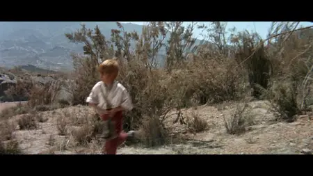 Once Upon a Time in the West (1968)