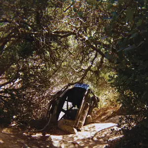 Ty Segall - Possession (2025) [Official Digital Download]
