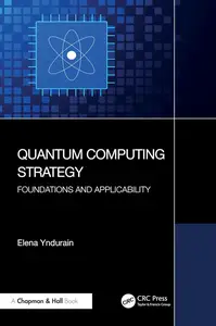 Quantum Computing Strategy: Foundations and Applicability