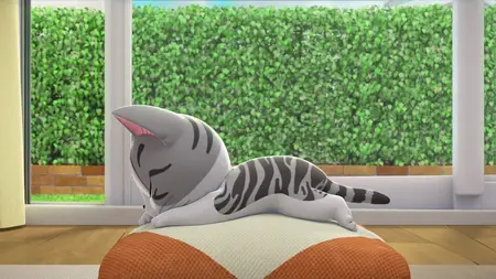 Chi mon chaton S01E01 Chi est de retour
