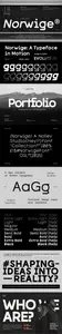Norwige - Modern Geometric Sans Serif Font Family
