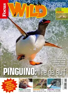 Focus Wild - Settembre 2025
