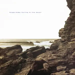 Polygon Window (Aphex Twin) - Surfing On Sine Waves (Expanded Edition) (1993/2025)