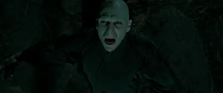 Harry Potter and the Deathly Hallows - Part 2 (2011)