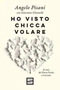 Ho visto Chicca volare. Il caso del Parco Verde a Caivano - Angelo Pisani