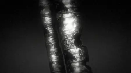 Terra Formars (2014 S01E06 2 Minutes Kametsu