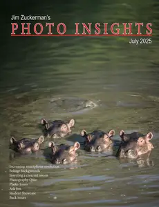 Photo Insights - July 2025