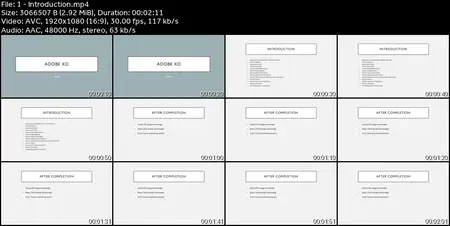 UI/UX Design Masterclass with Adobe XD: From Beginner to Pro