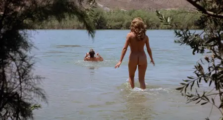 Beneath the Valley of the Ultra-Vixens (1979)