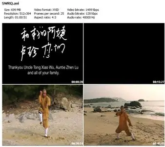 Shaolin Warrior - Rou Quan(Soft Fist) (2007)