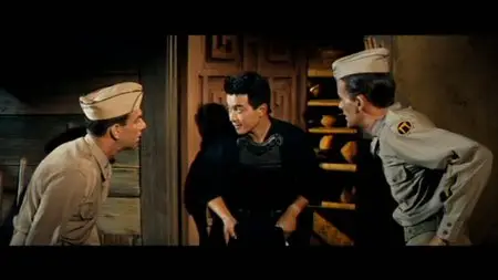 The Horizontal Lieutenant (1962)