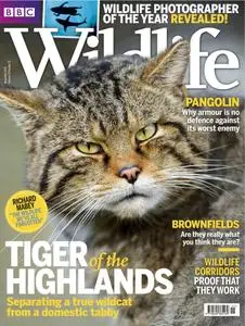 BBC Wildlife - November 2015