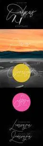 Walrus Typeface 1334006