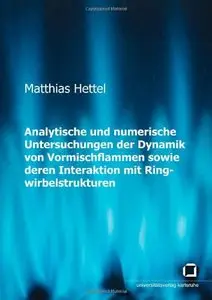 Analytische und numerische Untersuchungen der Dynamik