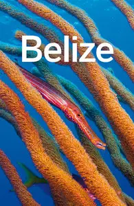 Lonely Planet Belize (Country Guide), 5 edition