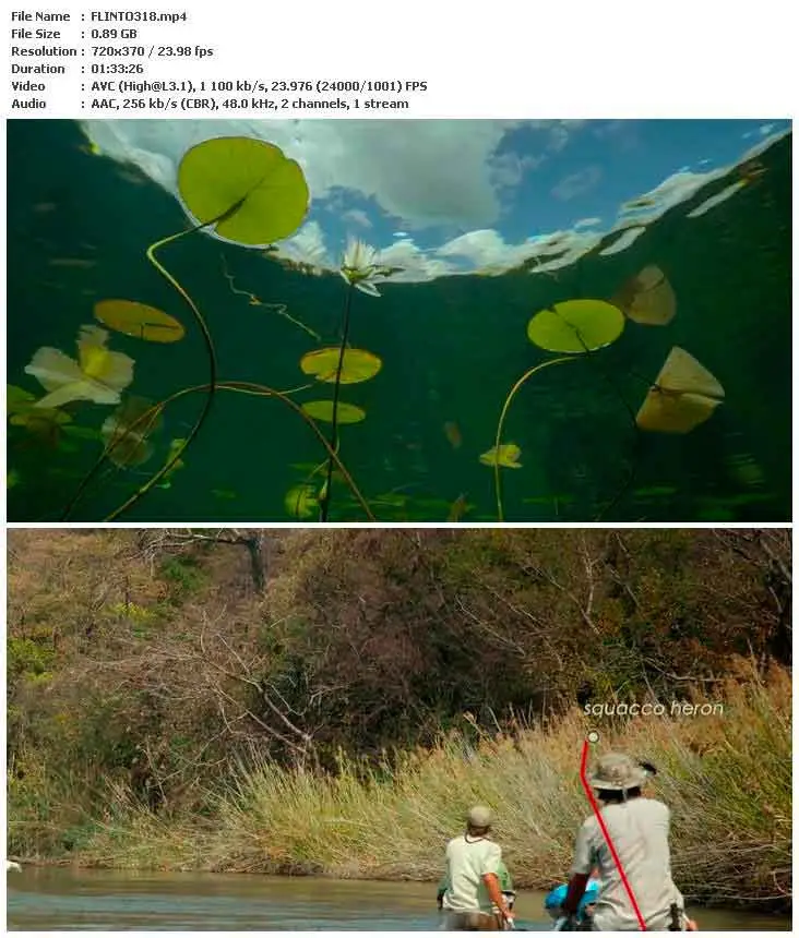 Into the Okavango (2018)