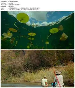 Into the Okavango (2018)