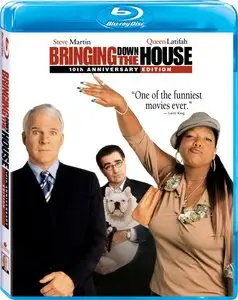 Bringing Down The House (2003)