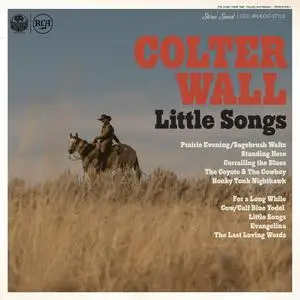 Colter Wall - Little Songs (2023) [Official Digital Download 24/88]
