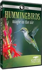 PBS Nature - Hummingbirds: Magic in the Air (2013)