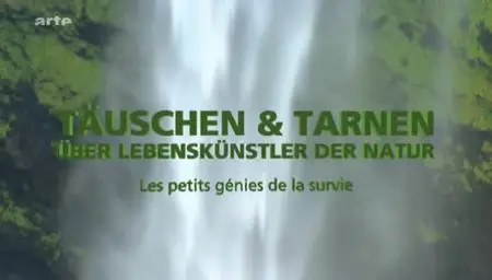 (Arte) Les petits génies de la survie (2012)