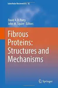 Fibrous Proteins: Structures and Mechanisms (Subcellular Biochemistry)