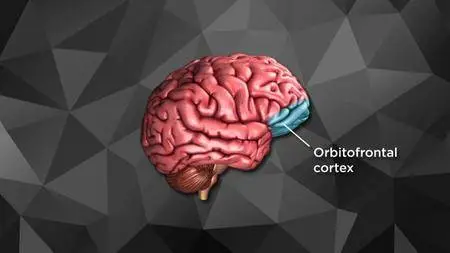 Outsmart Yourself: Brain-Based Strategies to a Better You