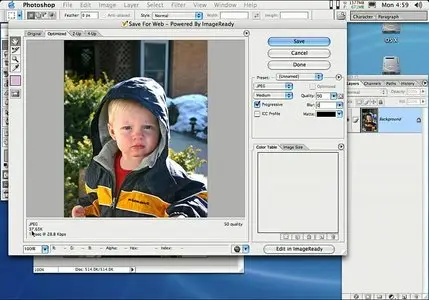 Mark´s 101 Totally Awesome Photo Tips in Photoshop CS [repost]