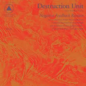 Destruction Unit - Negative Feedback Resistor (2015)