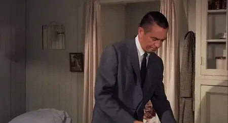 Tammy and the Doctor (1963)