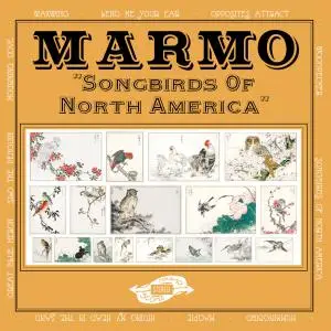 Marmo - Songbirds of North America (2019)
