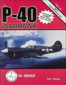 D&S №62 P-40 Warhawk in detail & scale. Part 2