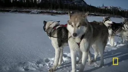 Life Below Zero S09E09 Total Meltdown