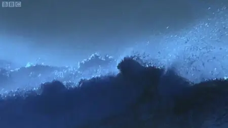 The Secret Life of Waves