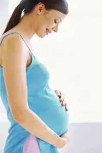 The Joy of Pregnancy: The Complete, Candid, and Reassuring Companion for Parents-to-Be