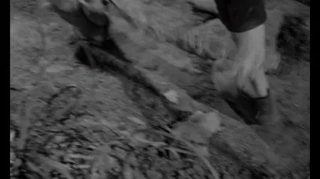 The Cow (1969)
