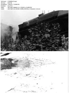 The Mountain Runners (2012)