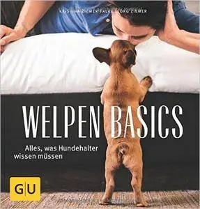 Welpen-Basics: Alles, was Hundehalter wissen müsssen