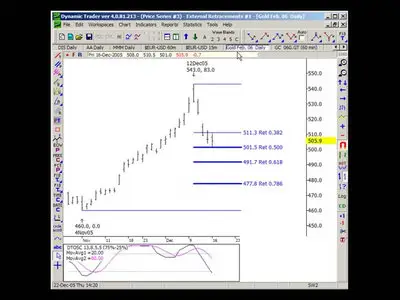 The Complete Price Tutorial Series by Robert Miner 