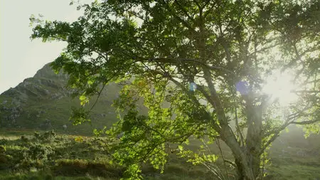 Dawn of the Dragonslayer (2011)