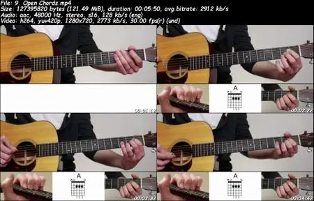 Learn to Play Guitar In 20 Days - Guitar Beginner Lessons